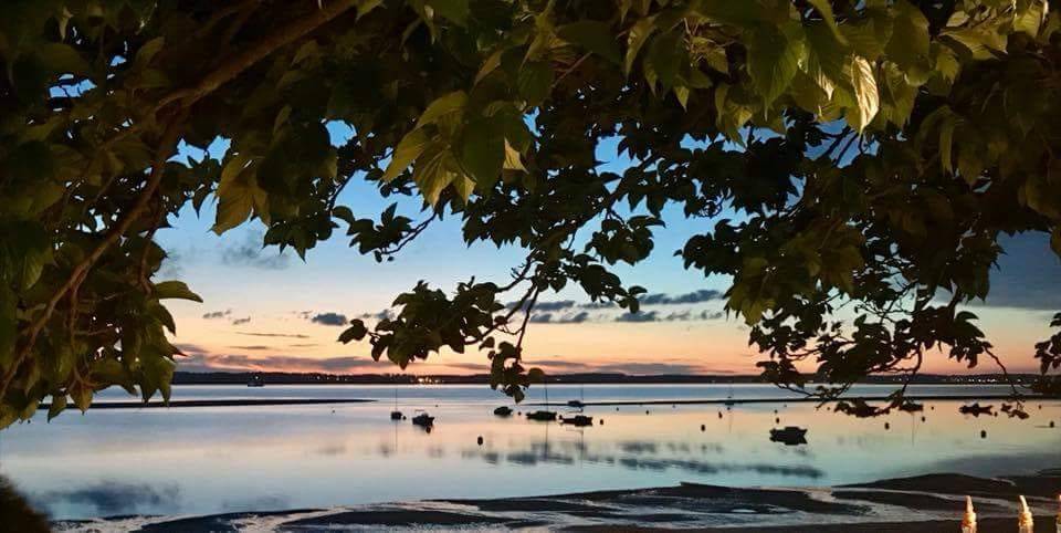 acheter un grand appartement avec vue bassin à arcachon